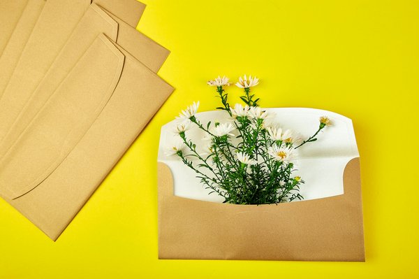 Optimisez vos envois grâce aux enveloppes grand format